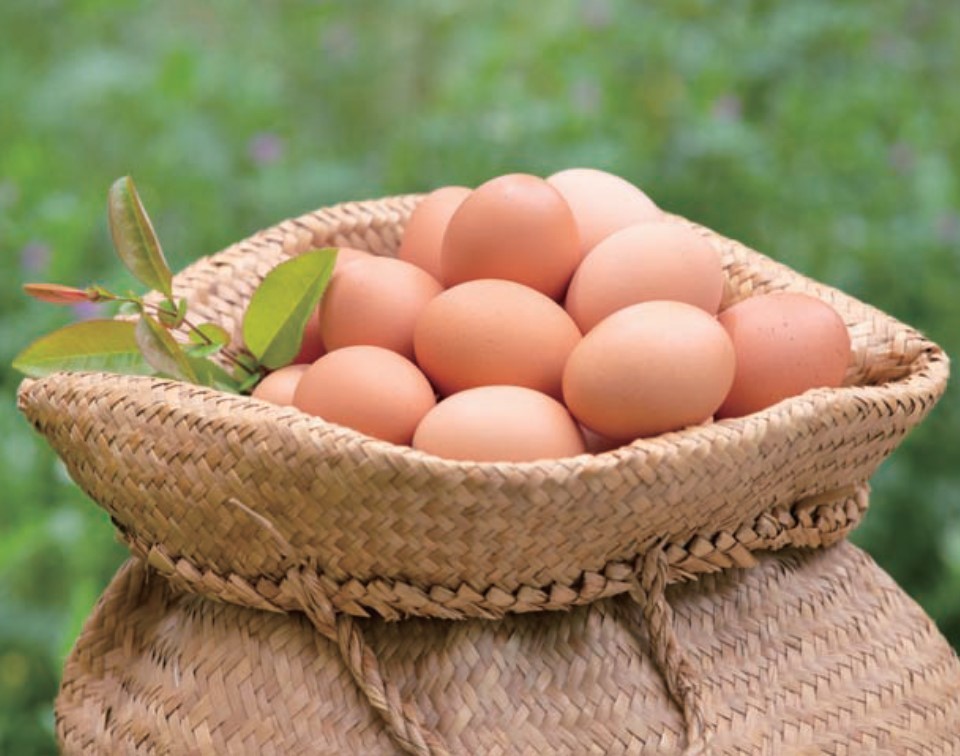 아침에 계란 - 2단 이미지(오른-큰).jpg